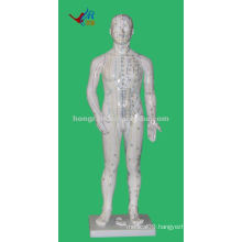 Chinese Anatomy Professional Medical AcupunctureModel, 70cm